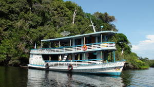 River tours rainforest